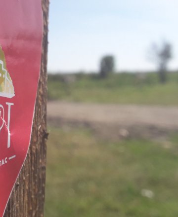 „Виа Понтика“ и БулевАРТ