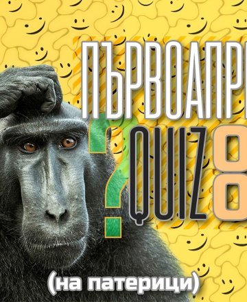 Забавен QUIZ * 2 Април * HashtagSTUDIO Бургас